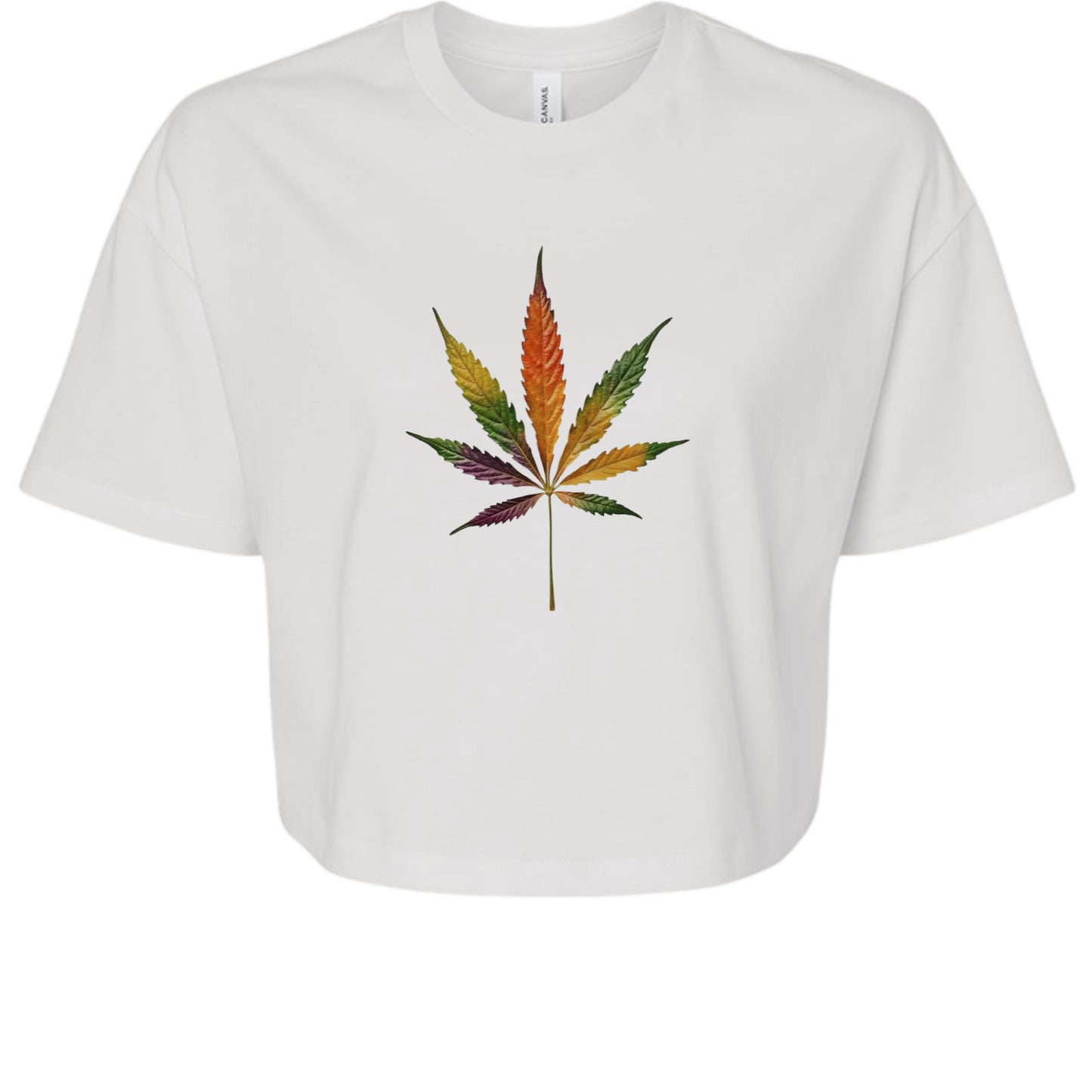 White - 6482 - FRONT