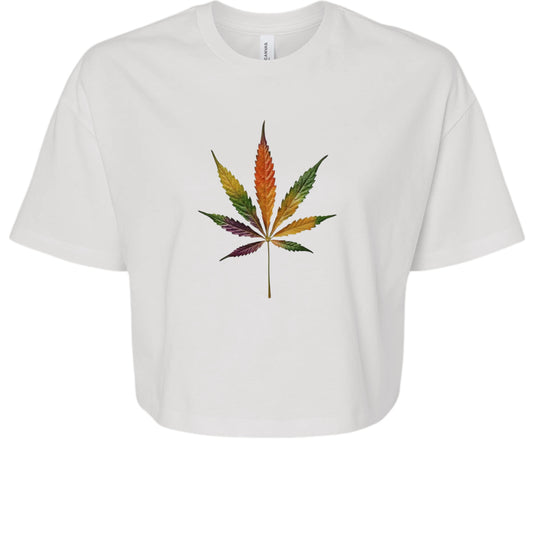 White - 6482 - FRONT